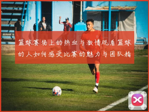 篮球赛场上的热血与激情观看篮球的人如何感受比赛的魅力与团队精神