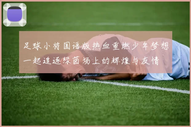 足球小将国语版热血重燃少年梦想一起追逐绿茵场上的辉煌与友情
