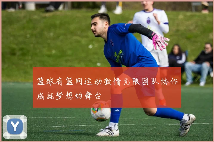 篮球有篮网运动激情无限团队协作成就梦想的舞台